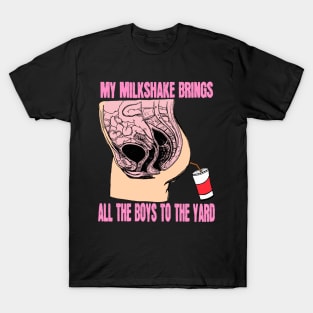 My Milkshake It Brings All The Boyz To The Yard T-Shirt